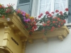 balcon-autrichien-avec-jardiniere